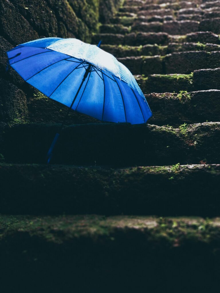 pexels-photo-1715161-1715161 Vibrant blue umbrella rests on wet, moss-covered stone steps, reflecting rainy weather.