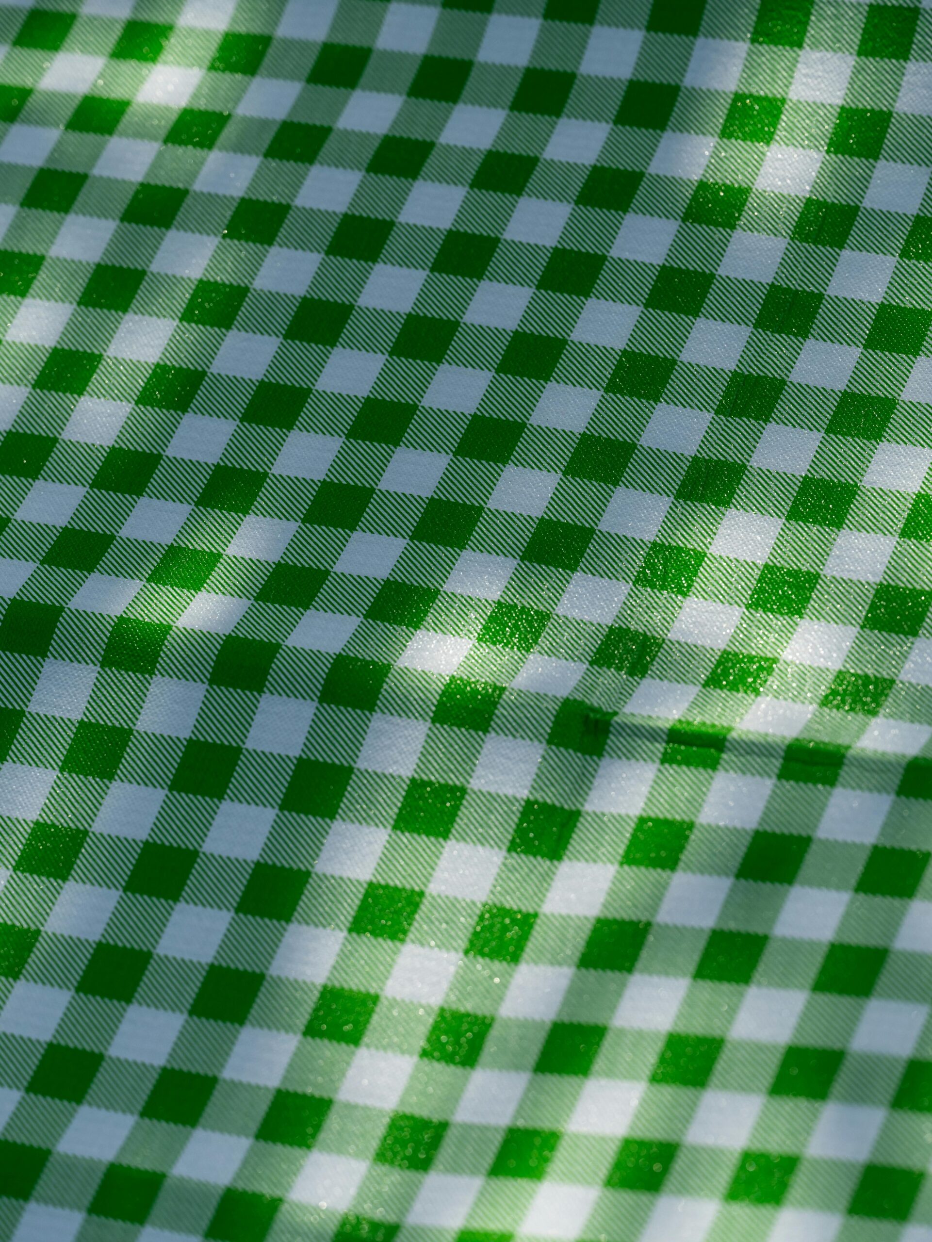 Close-up of green and white checkered fabric, ideal for picnic table setting.